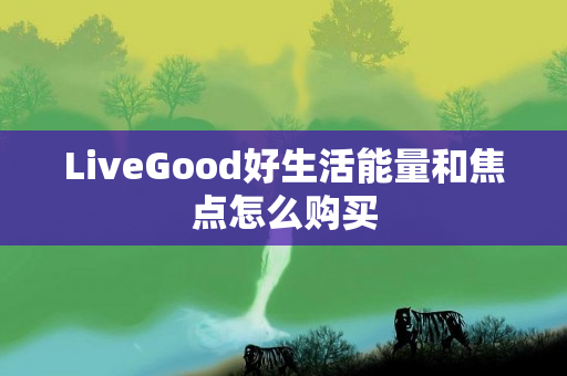 LiveGood好生活能量和焦点怎么购买