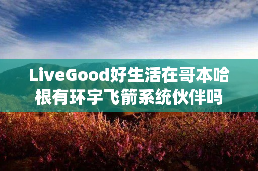 LiveGood好生活在哥本哈根有环宇飞箭系统伙伴吗